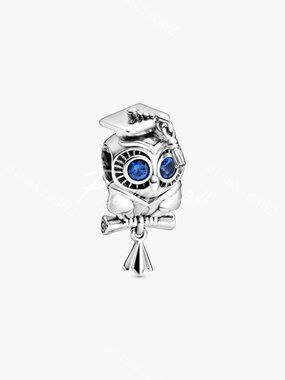 Wise Owl Graduation Charm